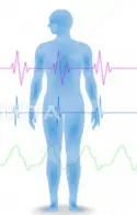 outline of a person with heartbeat & breathing senor lines shown